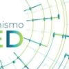 Aprobada la segunda prórroga del Mecanismo RED para la fabricación de vehículos de motor