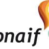 PUBLICACION DEL GRUPO DE TRABAJO CONAIF REPSOL   PREGUNTAS FRECUENTES